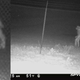 Imagen para el artículo titulado Piden ayuda ciudadana para identificar esta extraña figura en las inmediaciones de un zoo de Texas